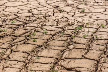 Without rain, dry land by drought