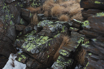 Fototapeta premium Slate rocks in the mountains, close-up. Urenga ridge, South Ural, Russia.