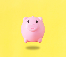 Pink Piggy coin bank,Minimal style.