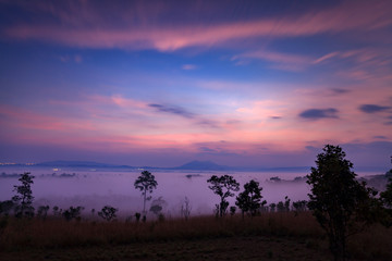 Fototapeta na wymiar Landscape fog in morning sunrise at Thung Salang Luang National Park Phetchabun,Tung slang luang is Grassland savannah in Thailand