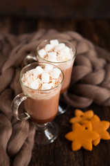 Two glasses with Hot chocolate garnished with whipped cream, marsmallow and cocoa powder on  wooden background with Cozy plaid from merinose wool