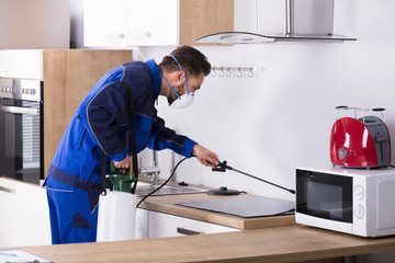Pest Control Worker Spraying Pesticide In Kitchen