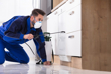 Man Spraying Pesticide In Kitchen