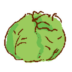 野菜 レタス