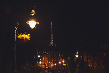 Fototapeta na wymiar night park alley with lights