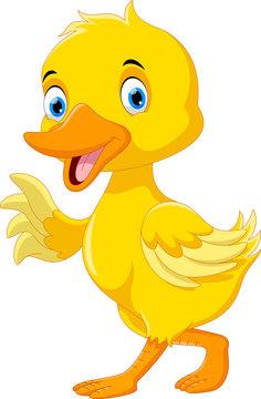 Cute duck cartoon 