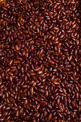 Raw pure speckled kidney beans