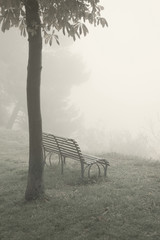 Misty park in autumn, bench and tree on background
