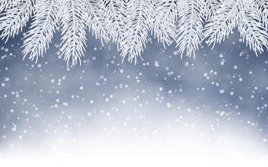 Christmas background with fir branches
