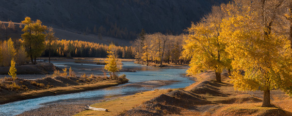 Autumn mountain landscape with sunlit trees and a cold blue river. Autumn forest with fallen leaves & trees against the background of mountains. Autumn trees on a stony shore. 