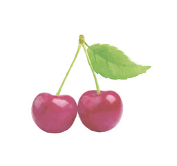 Watercolor Cherry fruit with leaf on white
