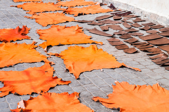 leather slices drying out at marrakech street, morocco