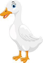 Cute duck cartoon