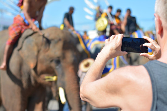 The tourists are taking pictures of elephants show.