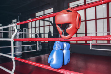 Boxing gloves and headgear on ropes of ring in gym - Powered by Adobe