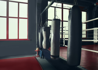 Punching bags for training in gym - obrazy, fototapety, plakaty