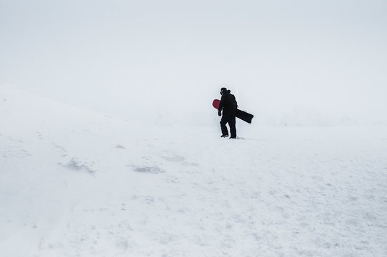 Snowboarder walking in snow storm at Mount Hakkoda in winter, Aomori, Tohoku, Japan