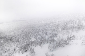 Aerial view of forest of  Mount Hakkoda in winter white snow, Aomori, Tohoku, Japan