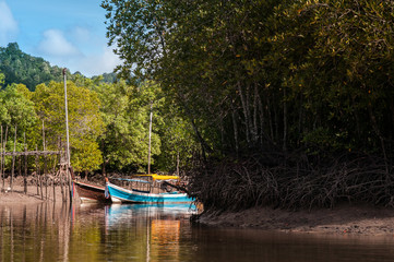 Longtail boat in mangrove forest Koh Lanta, Krabi, Thailand