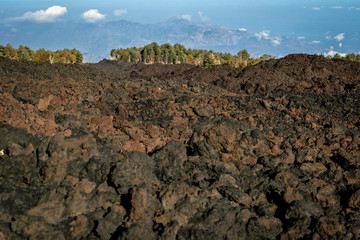 trees with colorful leaves peeping over the lava hills on the volcano Etna in autumn