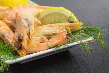 boiled shrimps on slate background with dill and lemon