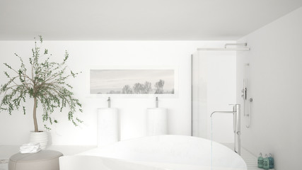 Fototapeta na wymiar Modern classic bathroom close up on large bath tub, big shower and double sink, minimalistic white interior design