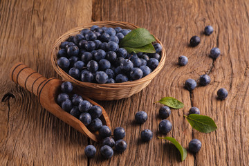 Sloes