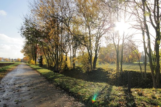 Sonniger Herbsttag