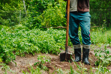Man digs a hole in the ground for planting trees