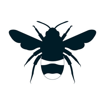 bee silhouette icon