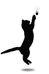 black and white silhouette of little kitten jumping upwards on white isolated background, concept...