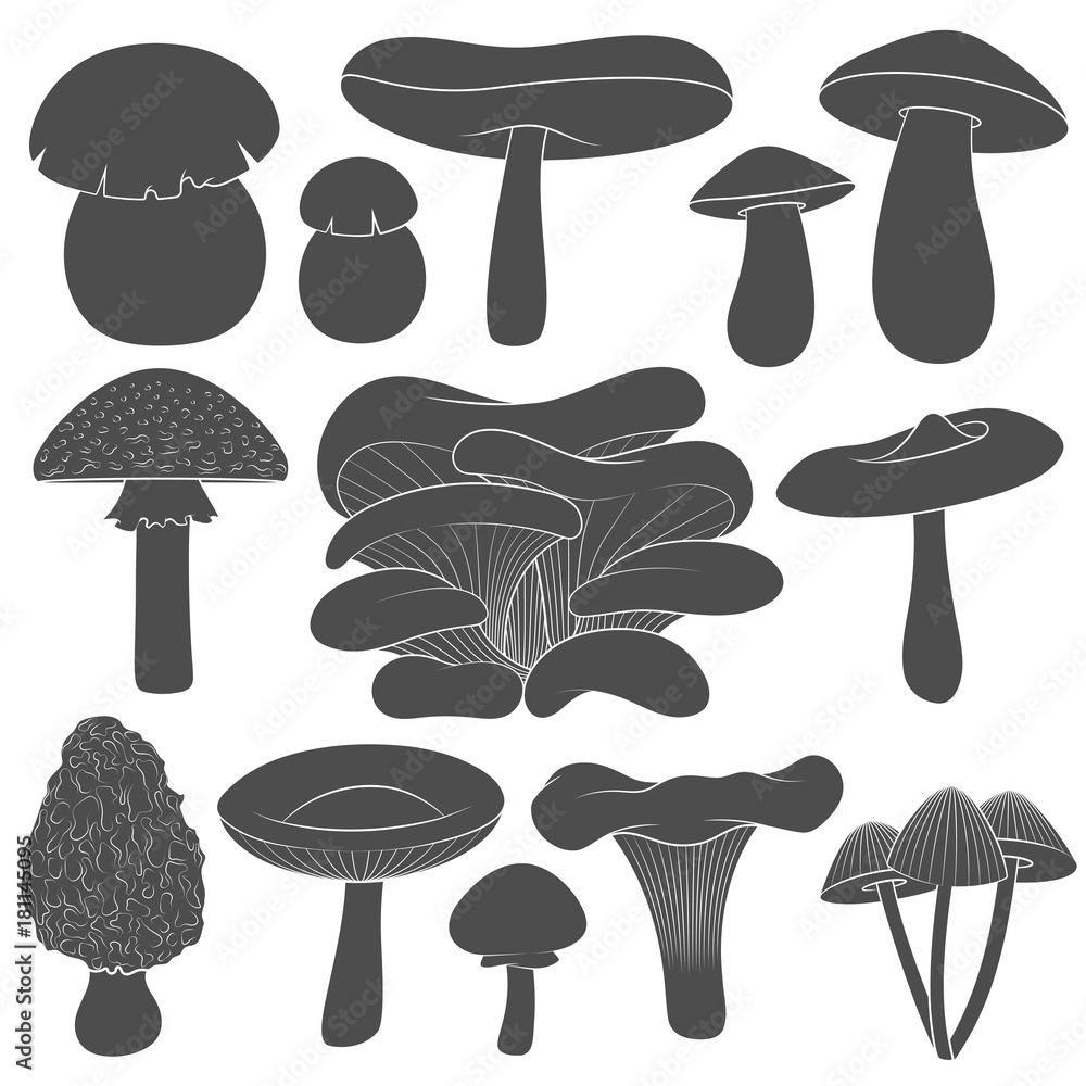 Poster set of black and white images with mushrooms. isolated vector objects on white background.