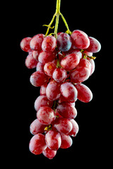 Grapes isolate on a black background