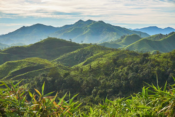 Hemel, berg en bos in bewolkte dag. Prachtig landschap in Thailand.