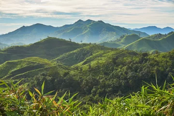 Fototapete Hügel Himmel, Berg und Wald am bewölkten Tag. Schöne Landschaft in Thailand.