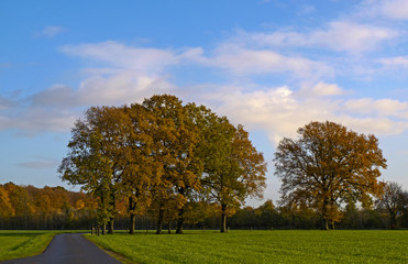 Typisch Münsterland