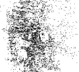 Grunge texture. White black. Pieces are scattered. Vector illustration.