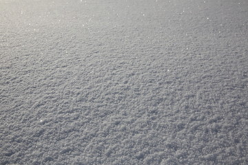 Fresh snow background in perspective or winter white background