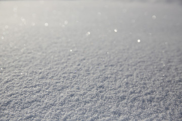 Fresh snow background in perspective or winter white background