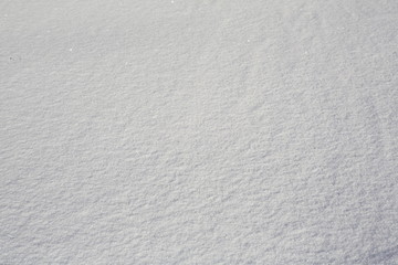 Obraz premium Fresh snow background in perspective or winter white background