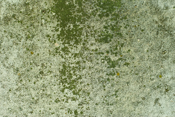 background, texture: the surface of an old concrete slab, covered with stains of moss or algae