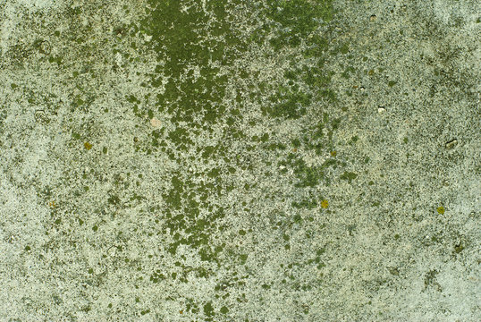 background, texture: the surface of an old concrete slab, covered with stains of moss or algae
