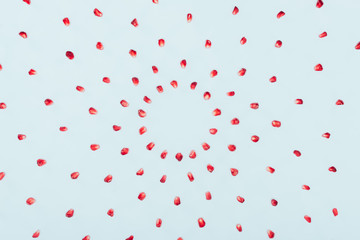 pomegranate seeds in circles