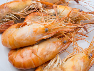 close up boiled River shrimp