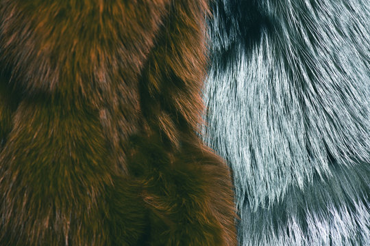 Dyed furry coat in brownish green and grey color, closeup