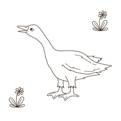 Goose bird doodle vector illustration