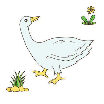 Goose colorful farm bird vector illustration
