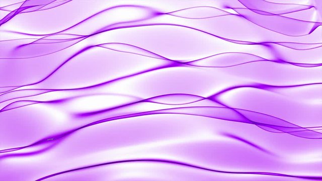 Abstract purple wave in the slow motion on the white background