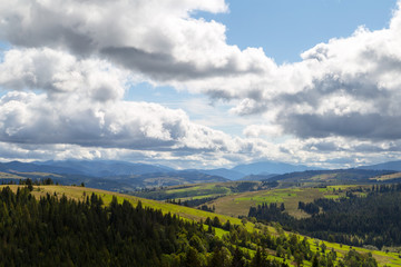 spruce on the mountain background beautiful view