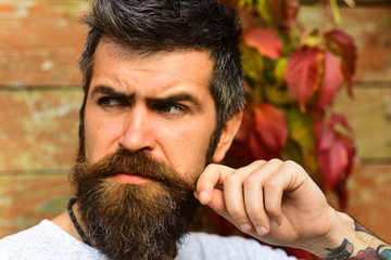 Guy posing near red leaves on wall. Macho with beard